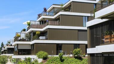 Bodenholzrain Hadlikon