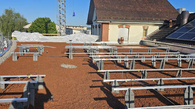 Steiner Beck, Wetzikon